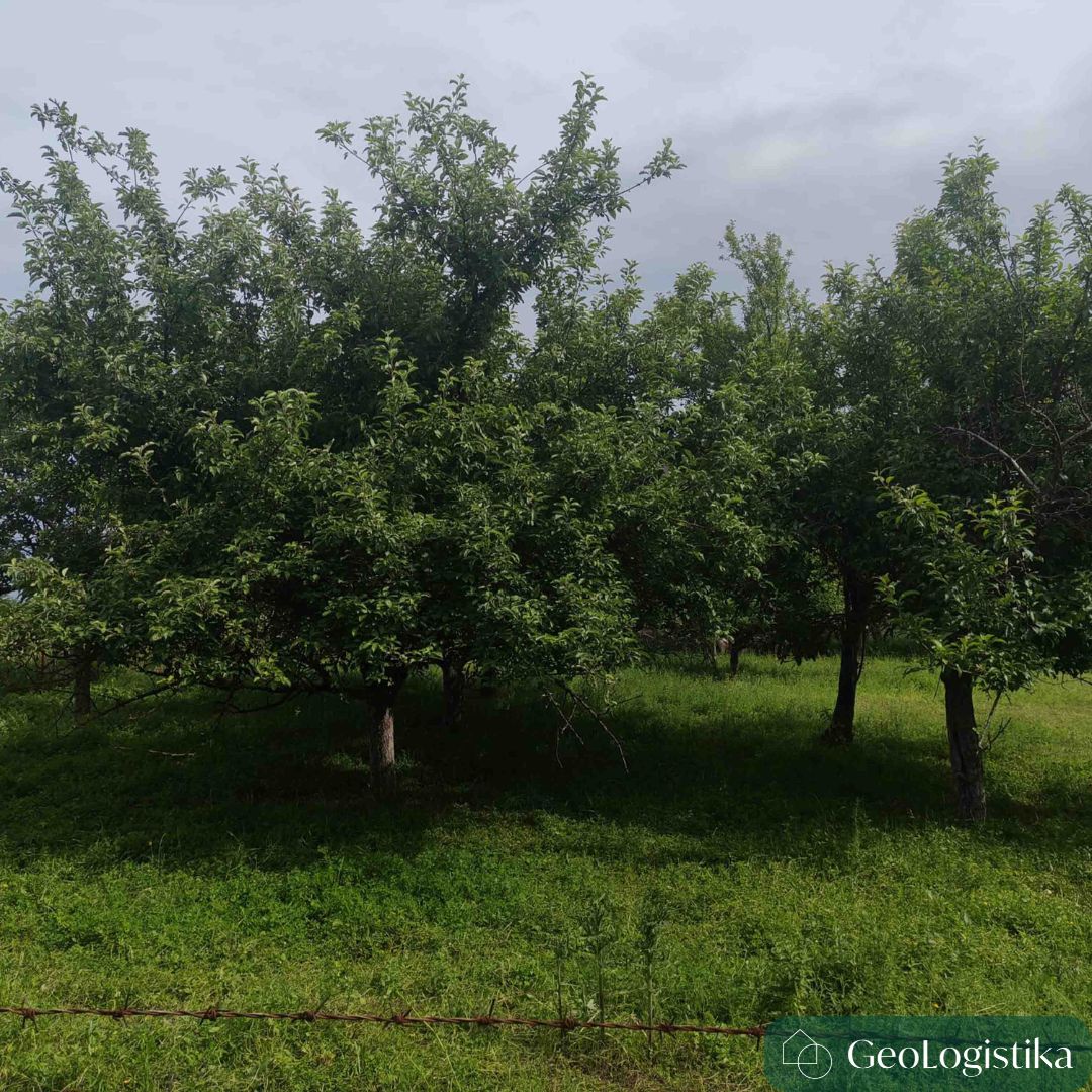 nepokretnost na prodaju